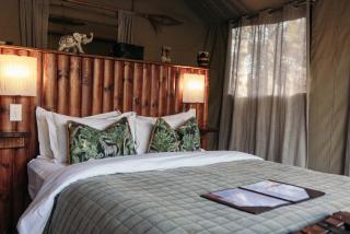 Isambane Camp - Balule Game Reserve - 6
