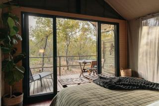 Isambane Camp - Balule Game Reserve - 5