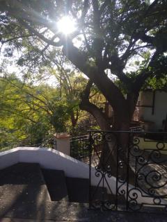 Bonanza - Cuernavaca - 9
