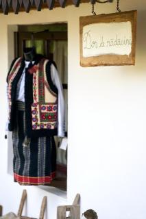 Dor de rădăcini - Nemţişor - 3