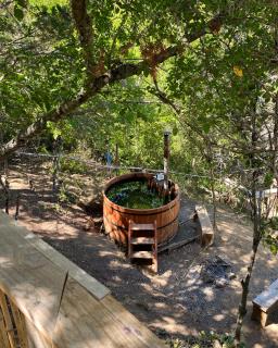Cabaña los Coligues -Salto la placeta- Le Petit chalet - San Clemente - 6