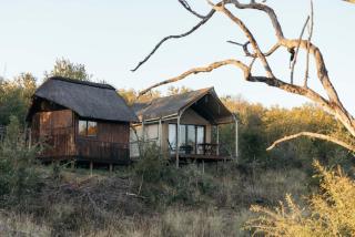 Isambane Camp - Balule Game Reserve - 9