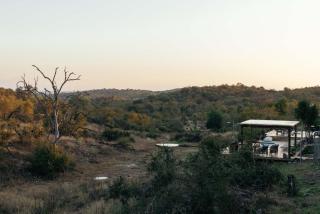 Isambane Camp - Balule Game Reserve - 2