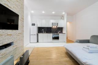 Urban Serenity Wilda Apartment by BookingHost - Posen - 2