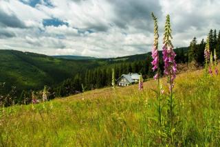 Vrchlabská vila na hranici krkonošské divočiny - Vrchlabí - 4