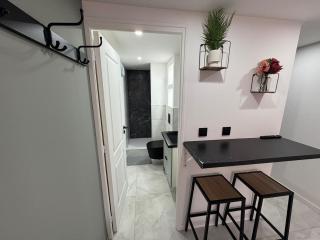 Petit Boudoir Lyonnais neuf terrasse climatisé - Vénissieux - 6