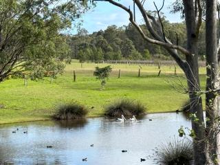Mistletoe Lake House - Pokolbin - 9
