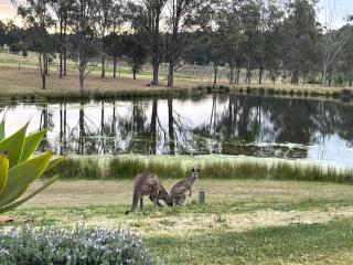 Mistletoe Lake House - Pokolbin - 8