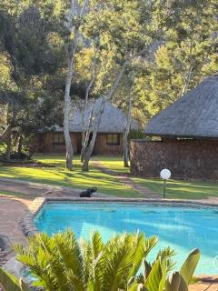 Soutpansberg Lodge at Balla-Balla Conservancy - - 9
