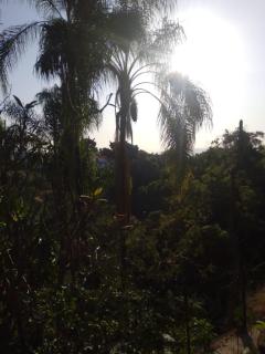 Bonanza Garden Suite s - Cuernavaca - 2