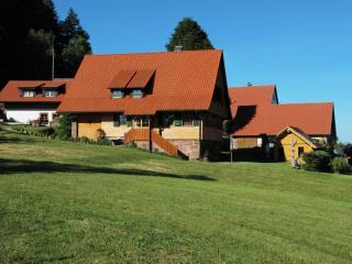 Kienbronnerhof - Schiltach - 1