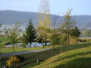 Kienbronnerhof - Schiltach - 3