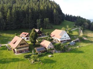 Kienbronnerhof - Schiltach - 0