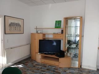 Appartement mit Garten in Zentrum - Schwerin - 3
