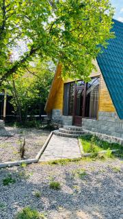 Borjomi-sadgeri''Twins'' - Borjomi - 0