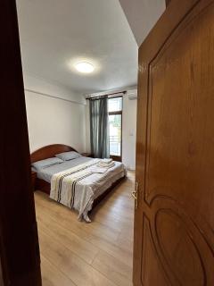 AZ Apartment Pogradec - Pogradec - 2
