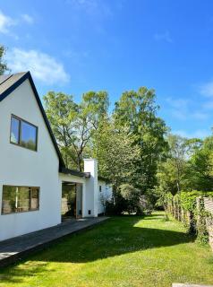 Lines Near Forest And Water - 4