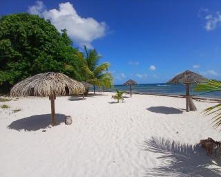 Ti Bonheur ST FRANCOIS à 100m de la plage et de la piscine - 0