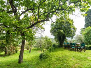Cosy Farmhouse in Bacchereto with Swimming Pool - Carmignano - 9