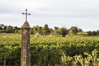 Chateau Pech-Céleyran - 2