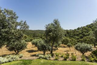 Grandola Mountain Paradise - 5