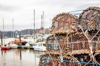 Finest Retreats - Ukulele Studio - Whitby - 6