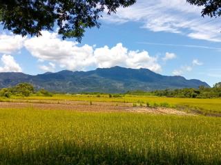 米多好田園民宿 - Luye - 9