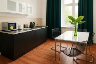 StayInn Möckern - 1 Studio Apartment für 3 Personen -1Zimmer mit Schlafsofa und Doppelbett-kein zweites Zimmer - Leipzig - 5