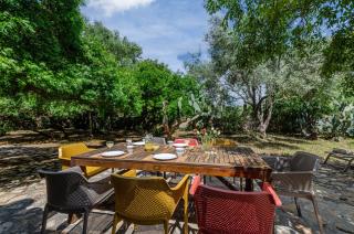 Finca Es Galliner - Es Carritxo - 6