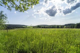 Waldfrieder Ferienwohnungen - Lauterbach - 5