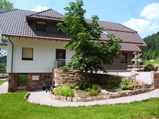 Waldfrieder Ferienwohnungen - Lauterbach - 8