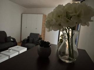 Centar Sweet Home - 7