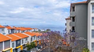 Sapphire Scape Assomada Madeira by GRM - Bicas - 8