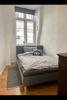 Altstadtfeeling mit Hof - Niederdorla - 6