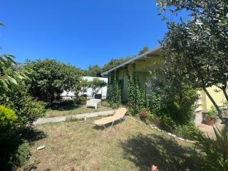 Green House and garden - 3