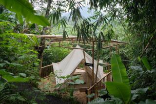 Nysa Forest Sanctuary - Jatiluwih - 7