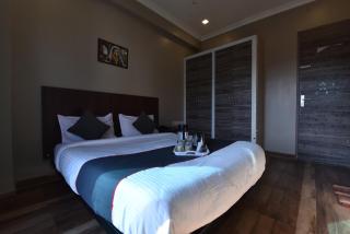 Hotel Kailash Villa - Jaipur - 9