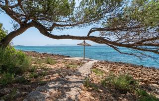 Far D'alcanada - 2