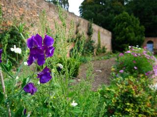 2 Bed in Ripon HH039 - Bishop Monkton - 1