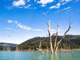 The Cove - Lake Eildon - Piries - 2