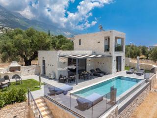 Aggelatos Stone Villas - Lourdata - 1