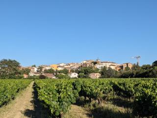 Le dindouleto - Peynier - 9