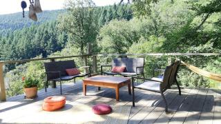 Eco Cabin In The Black Mountain Forest - 7