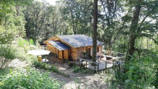 Eco Cabin In The Black Mountain Forest - 0