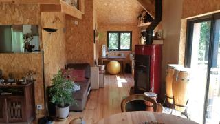 Eco Cabin In The Black Mountain Forest - 4