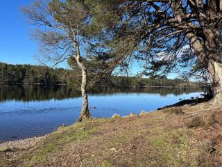 Migdale Heights - Luxury Cabins in The Highlands - Bonar Bridge - 3