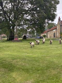 The Barn Guest House and Tearoom - Hutton le Hole - 9