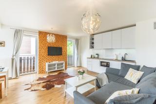 Apartament deluxe "Śnieżna Grań" by Royal Aparts - 9