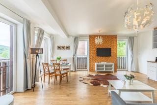Apartament deluxe "Śnieżna Grań" by Royal Aparts - Szklarska Poręba - 5