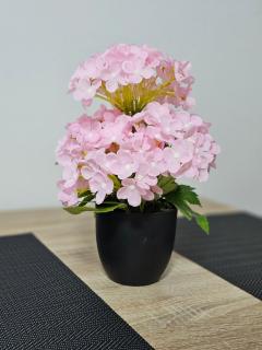 Studio Dana - 2